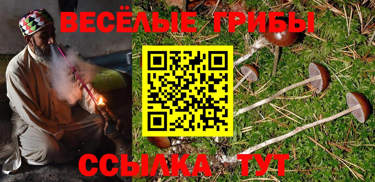 Саратов  купить   Вход с VPN  Галлюциногенные грибы мухоморы  Псилоцибиновые грибы мицелий 